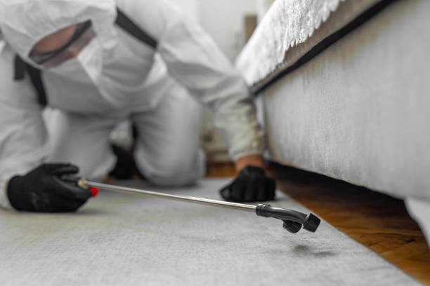 Professional Emergency Pest Control technician working in Daleville, AL